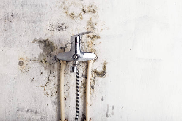 Best Mold Remediation for Specific Building Types in Comanche, TX