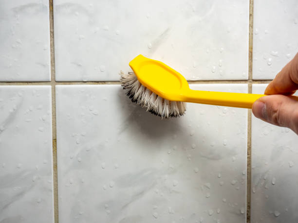 Best Mold Remediation for Schools in Comanche, TX