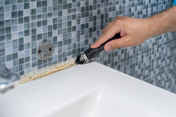 Best Kitchen Mold Remediation in Comanche, TX