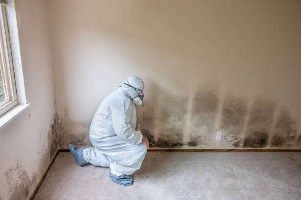 Best Crawl Space Mold Remediation in Comanche, TX