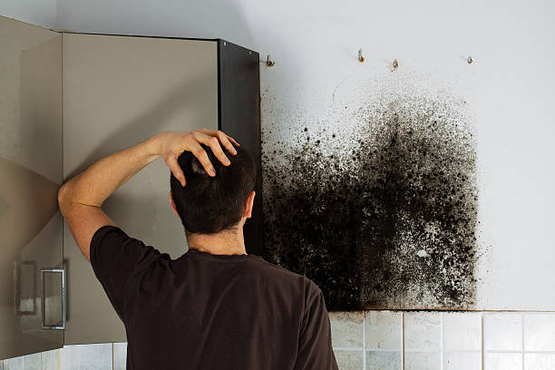 Comanche, TX Mold Remediation Company